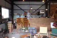 Burn Freelyの写真・動画_image_517592