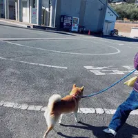 井上の写真・動画_image_517921