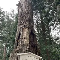 日光東照宮の写真・動画_image_518693