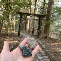 滝尾神社の写真・動画_image_518840