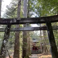 滝尾神社の写真・動画_image_518959
