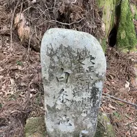 滝尾神社の写真・動画_image_518968