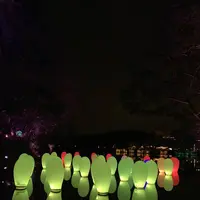 チームラボ  森と湖の光の祭の写真・動画_image_519325