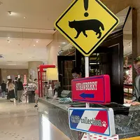 ヒルトン東京の写真・動画_image_520923