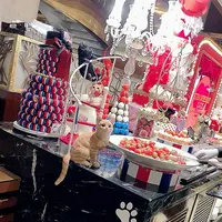 ヒルトン東京の写真・動画_image_520927
