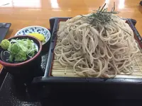 箱館そば 鴫野の写真・動画_image_521114