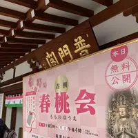 蓮華王院 三十三間堂の写真・動画_image_521838