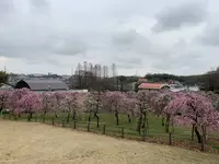 名古屋市農業センターの写真・動画_image_523010