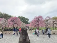名古屋市農業センターの写真・動画_image_523012