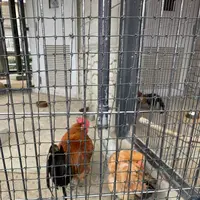 名古屋市農業センターの写真・動画_image_523252
