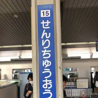 千里セルシーの写真・動画_image_523522