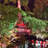 いろり山賊 錦店 一燈銭の写真・動画_image_523608