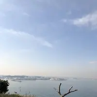 猿島の写真・動画_image_526801