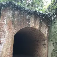 猿島の写真・動画_image_526803