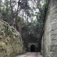 猿島の写真・動画_image_526805