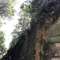 猿島の写真・動画_image_526806