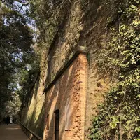 猿島の写真・動画_image_526808