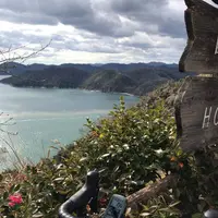ホテル 万葉岬の写真・動画_image_527641