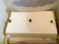 しろたえの写真・動画_image_529431