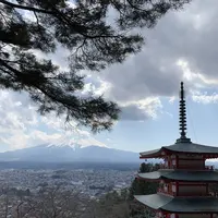 新倉富士浅間神社の写真・動画_image_530118