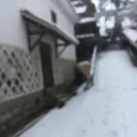 杉原料理店の写真・動画_image_530552