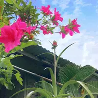 壺屋やちむん通りの写真・動画_image_530716