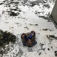 壺屋やちむん通りの写真・動画_image_530719