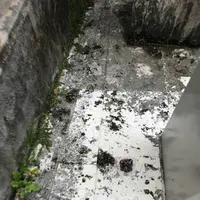 壺屋やちむん通りの写真・動画_image_530725