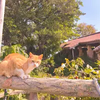 壺屋やちむん通りの写真・動画_image_530735