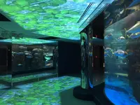 のとじま水族館　の写真・動画_image_530803