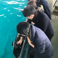 のとじま水族館　の写真・動画_image_530804