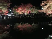 曽木公園の写真・動画_image_530850