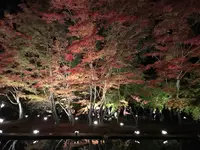 曽木公園の写真・動画_image_530851
