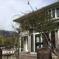 めだか食堂の写真・動画_image_530856