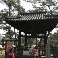 國分寺の写真・動画_image_530918