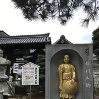 國分寺の写真・動画_image_530919