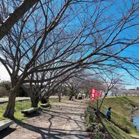 道の駅とみうら枇杷倶楽部の写真・動画_image_532462