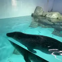 豊橋総合動植物公園 (のんほいパーク)の写真・動画_image_533578