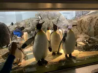 豊橋総合動植物公園 (のんほいパーク)の写真・動画_image_533580