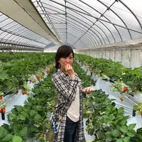 いちご狩り Mama's Berryの写真・動画_image_534996