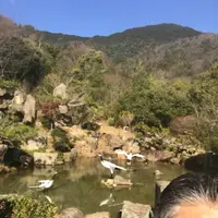 野呂山の写真・動画_image_536431