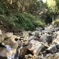 野呂山の写真・動画_image_536437