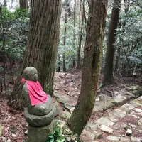 野呂山の写真・動画_image_536440