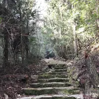 野呂山の写真・動画_image_536443