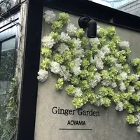 ジンジャーガーデンアオヤマの写真・動画_image_536951