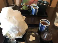 つぼみの写真・動画_image_538928