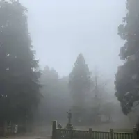 金山出石寺の写真・動画_image_540833
