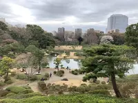 六義園の写真・動画_image_542082