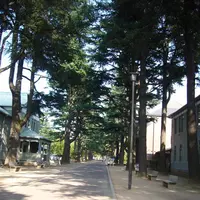 あがたの森公園の写真・動画_image_542475