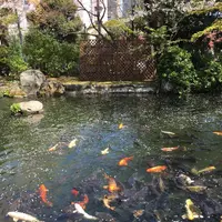 愛宕神社の写真・動画_image_543522